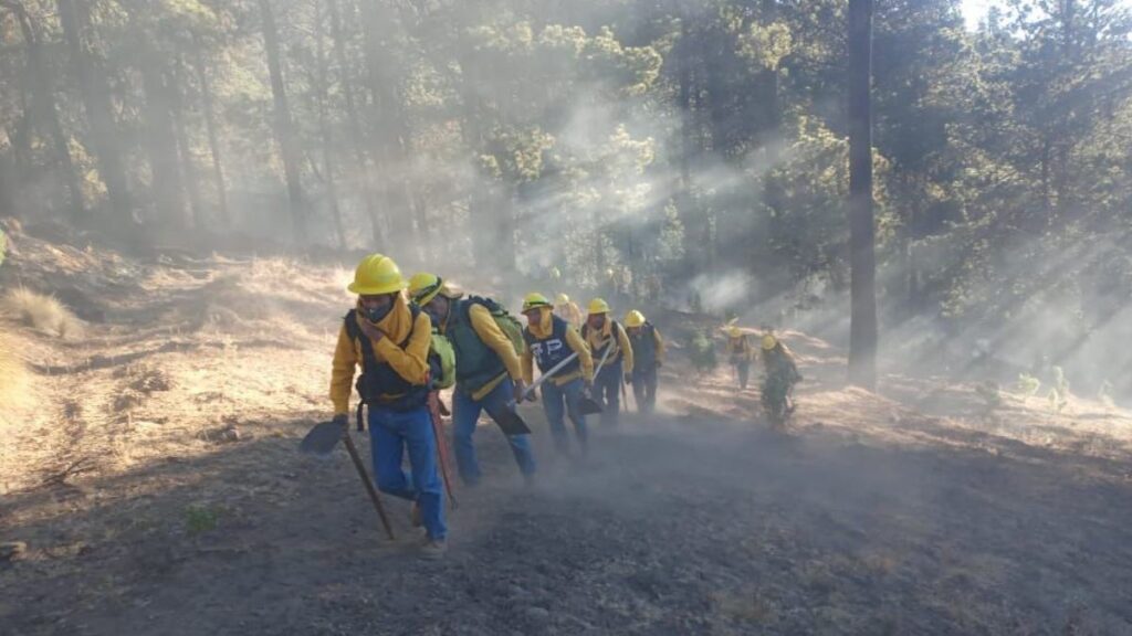 Brigadistas caminan en medio del humo de incendio en Pico de Orizaba.