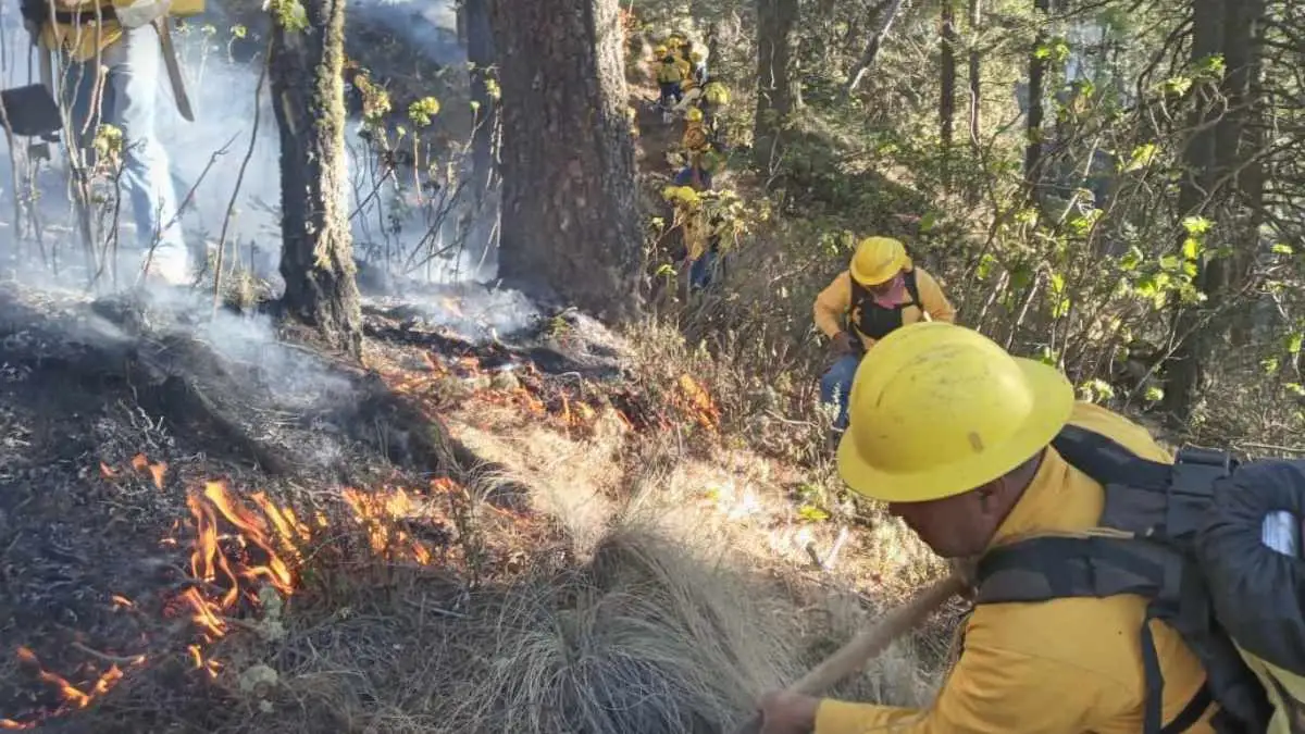 Arde el Pico de Orizaba: fuego consume 80 hectáreas, Sergio Salomón acude a la zona