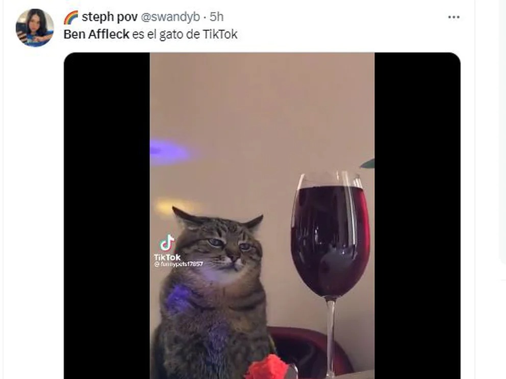 Comparan a Ben Affleck con gatito aburrido con una copa de vino.
