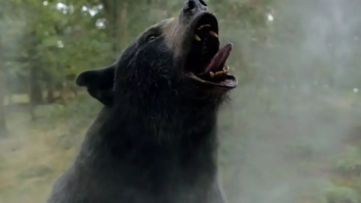 Elizabeth Banks dirige ‘Cocaine Bear’: la disparatada y terrorífica historia de un oso drogado