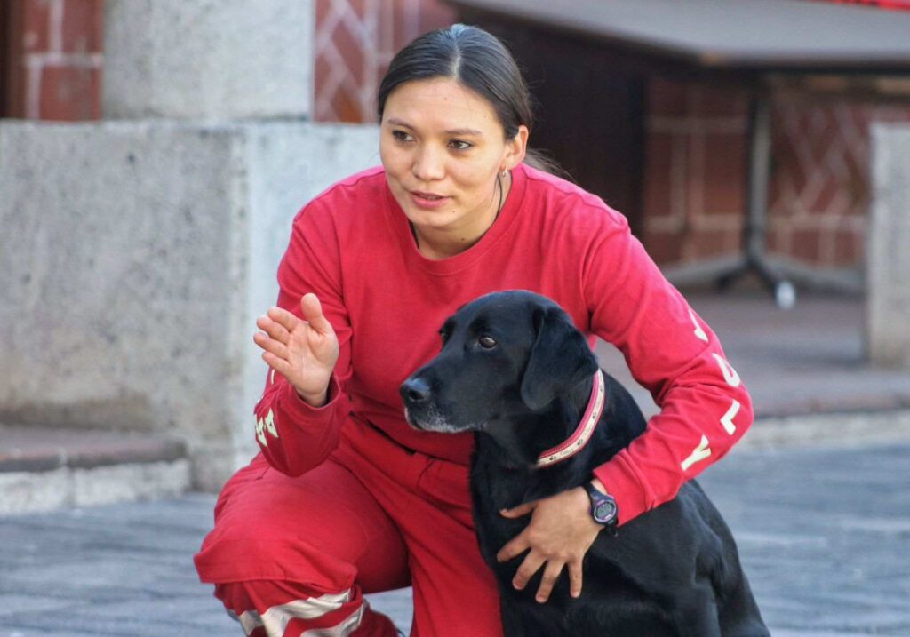 Caninos rescatistas de Cruz Roja, Puebla con entrenadora.
