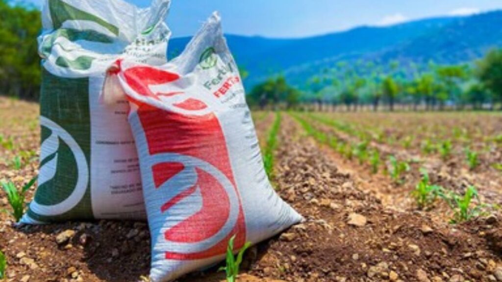 Fertilizante para campesinos, parte del apoyo del gobierno de AMLO.