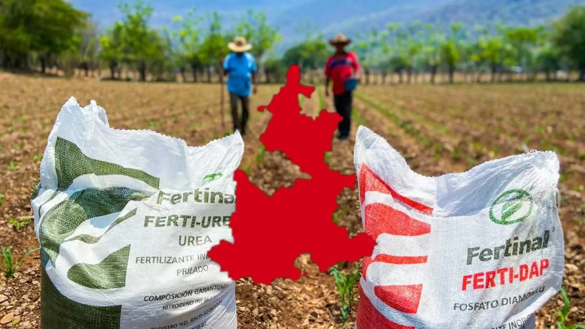 Gobierno de AMLO entregará más de 52 mil toneladas de fertilizantes a campesinos de Puebla