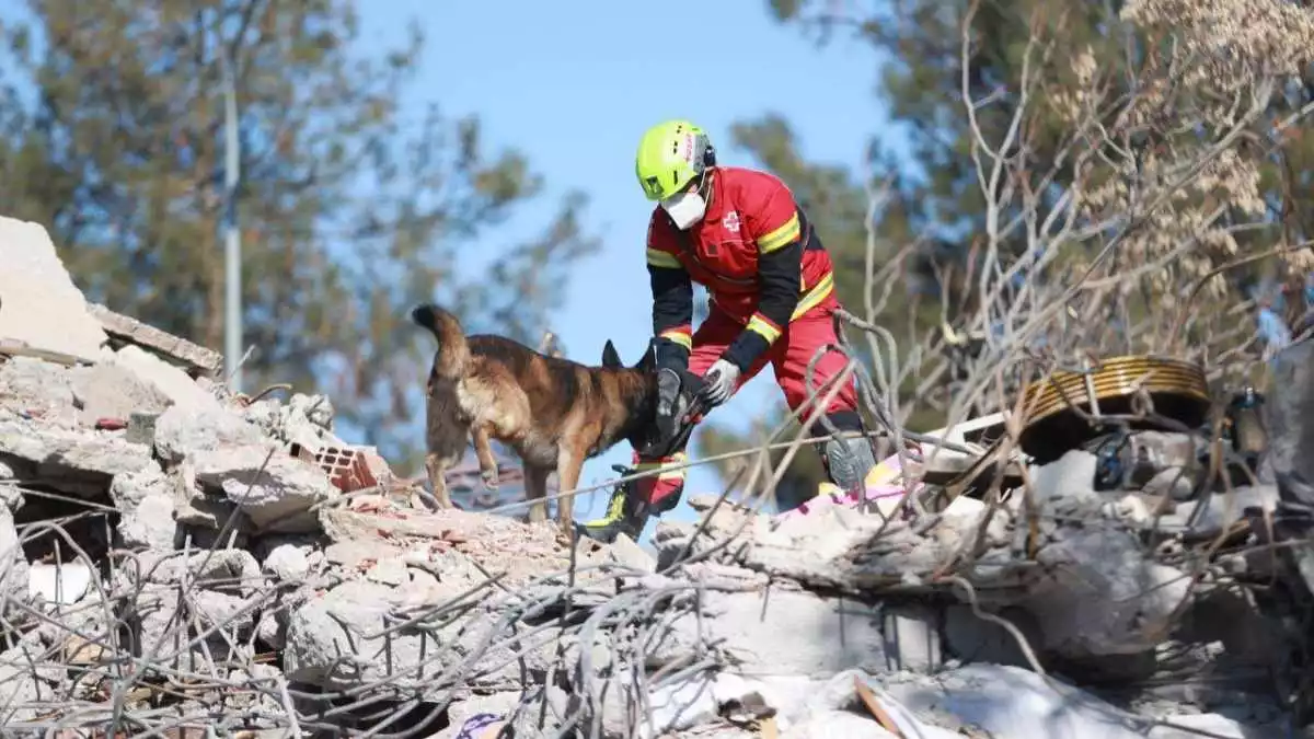 Rescatistas poblanos ya laboran en Turquía, buscando a sobrevivientes tras terremoto