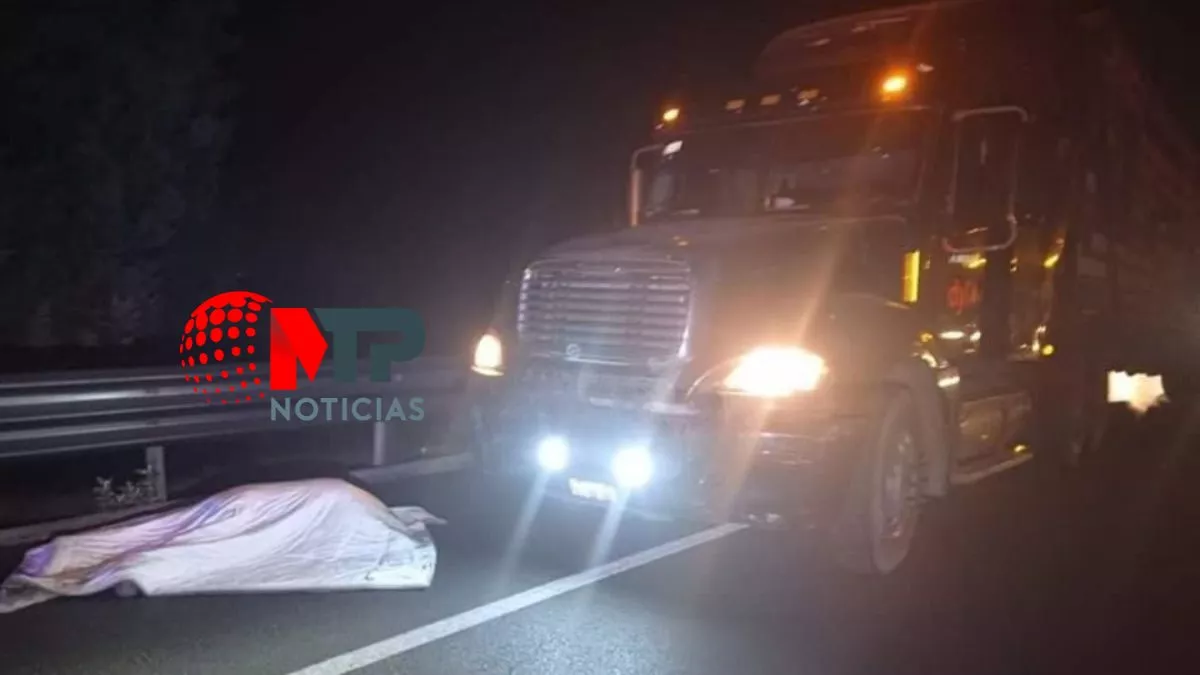 Matan a trailero en la Amozoc-Perote