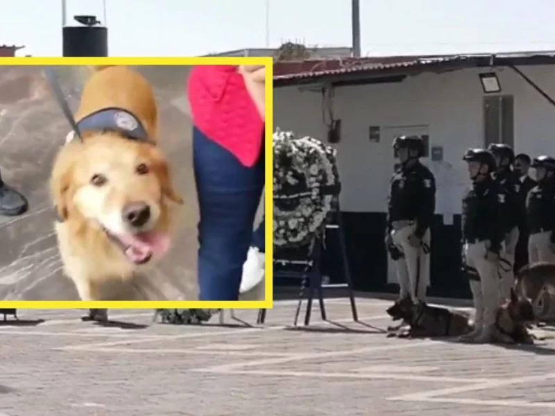 Homenaje a Dima: elemento canino de Policía Municipal de Puebla, detectaba drogas