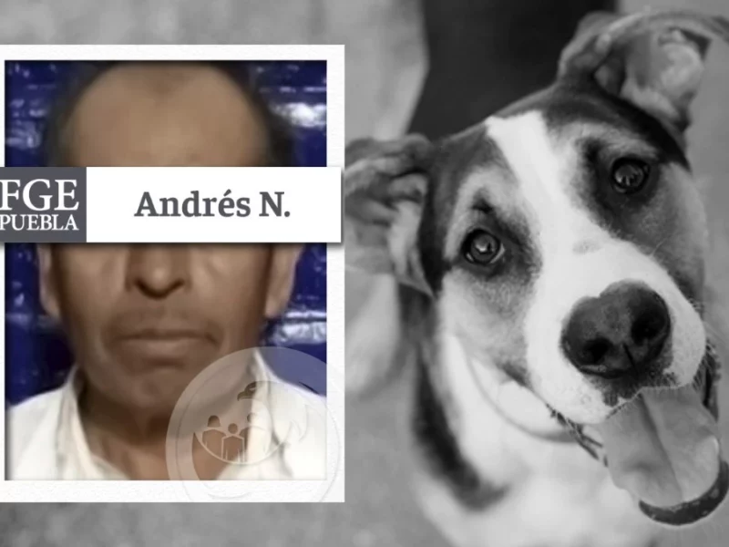 Andrés mató a machetazos a dos perros en Tehuacán, ya fue detenido