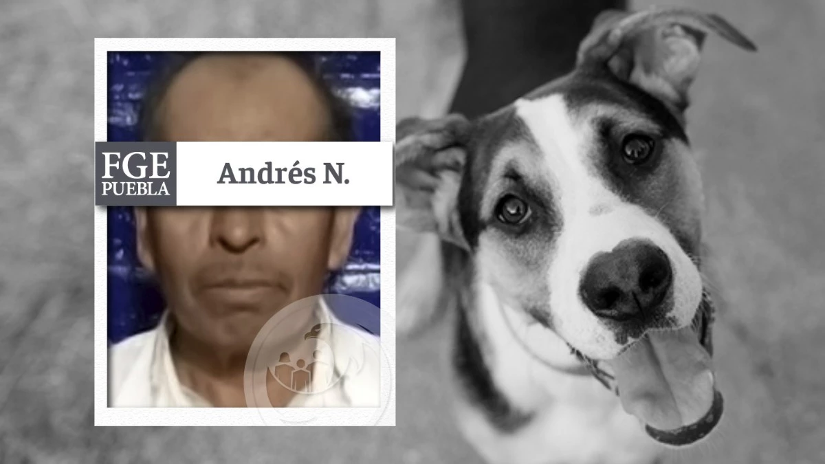 Andrés mató a machetazos a dos perros en Tehuacán, ya fue detenido