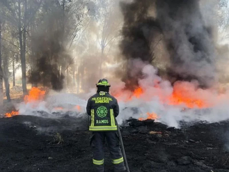 Gobierno de Puebla ha atendido mil 223 incendios de pastizales en lo que va de 2023