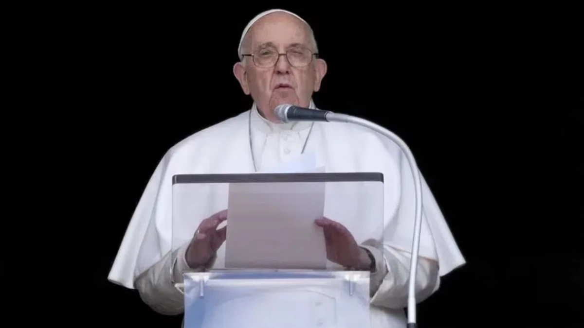 Papa Francisco critica a mujeres que "alquilan vientres" y usan la fertilización in vitro