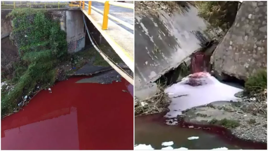 Río Alseseca se tiñe de rojo por descarga de químicos de empresas en Puebla