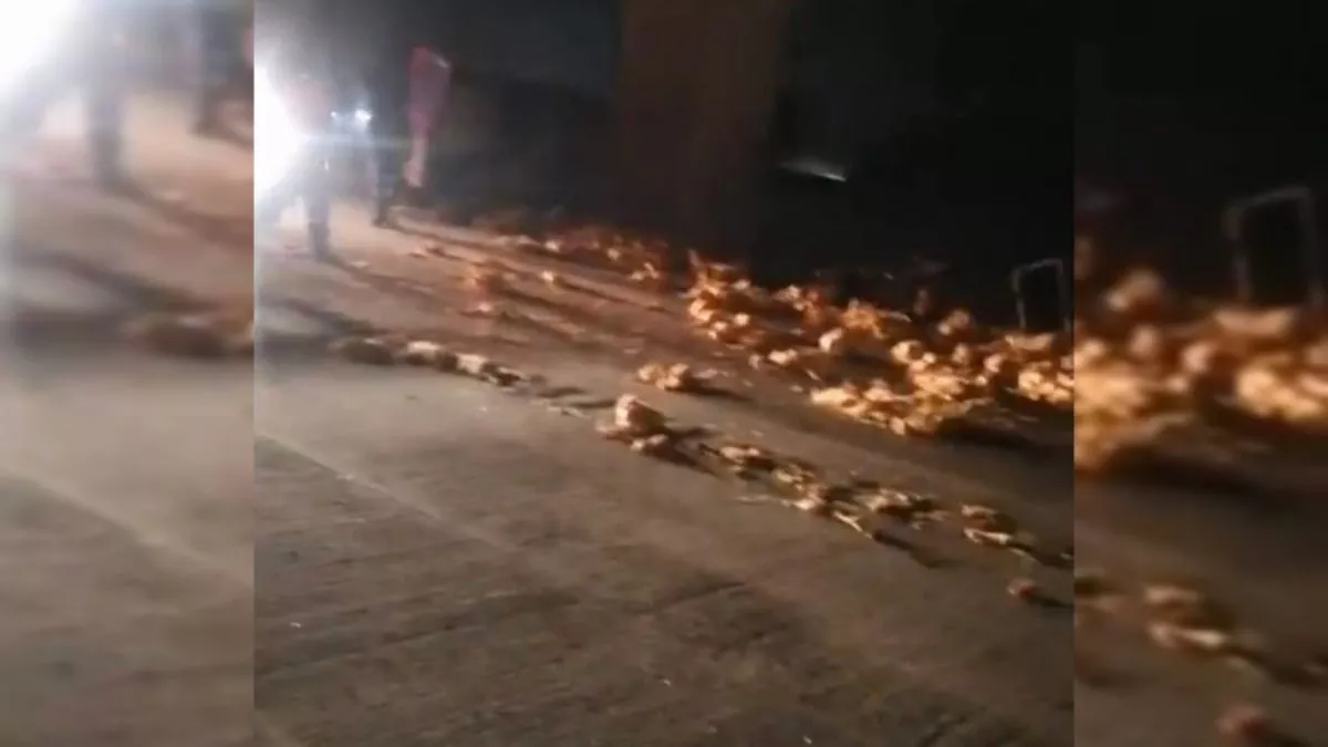 Vuelca camión que transportaba pollos y chocan dos autos en la México-Puebla