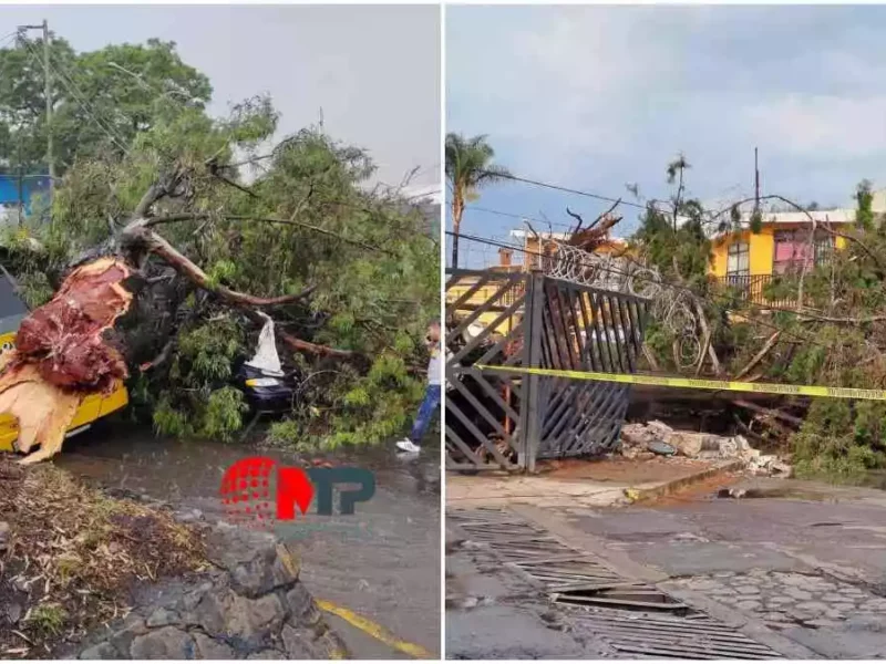 Por lluvias reportan 21 árboles afectados en ciudad de Puebla