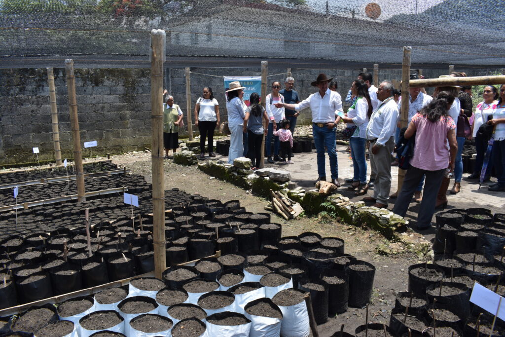 el municipio de Tlatlauquitepec participa en el rescate y conservación de