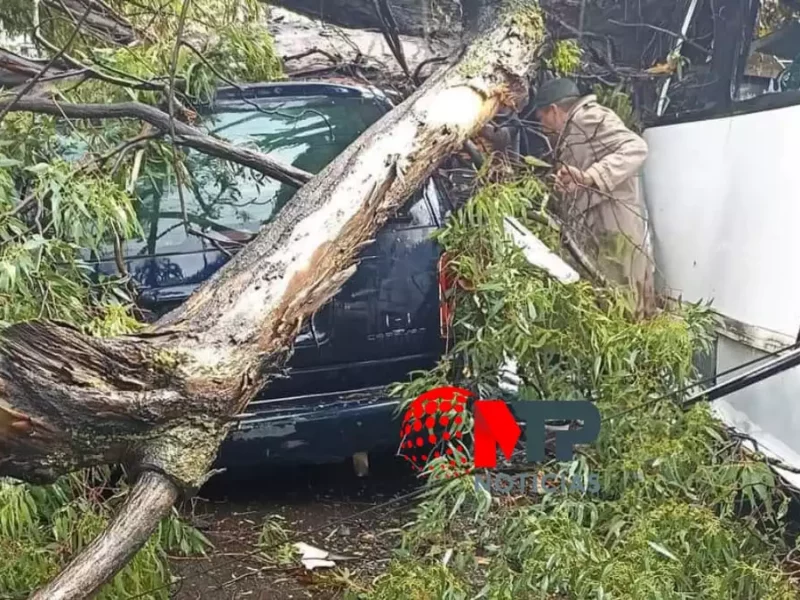 Cae árbol sobre vehículo en bulevar Xonaca hay una mujer lesionada