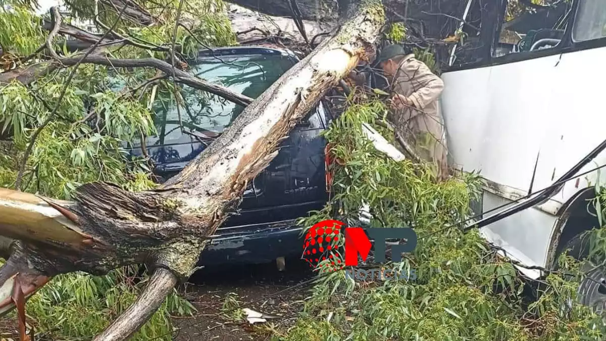 Cae árbol sobre vehículo en bulevar Xonaca hay una mujer lesionada