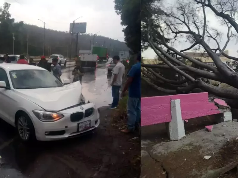 Choques y caída de árboles tras lluvia en Puebla