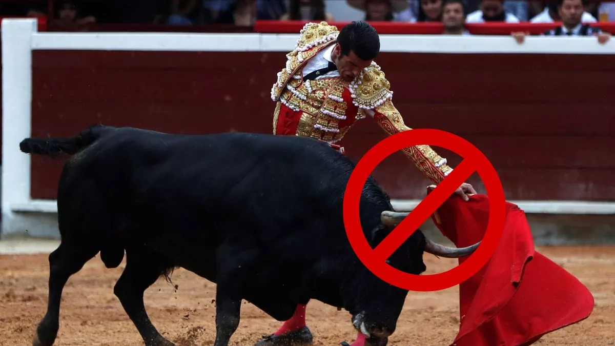 Prohibir corrida de toros en Puebla