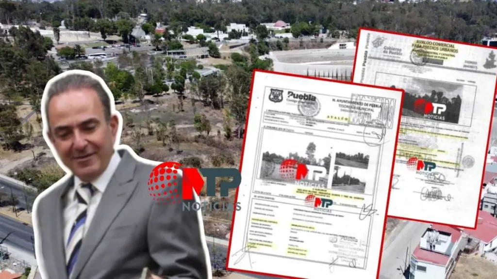 "Compro todas las casas que tengan": Chidiac tras darse a conocer avalúos de terreno vendido para nuevo Congreso
