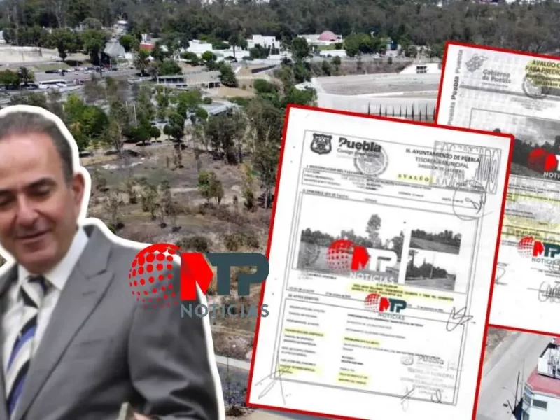 "Compro todas las casas que tengan": Chidiac tras darse a conocer avalúos de terreno vendido para nuevo Congreso