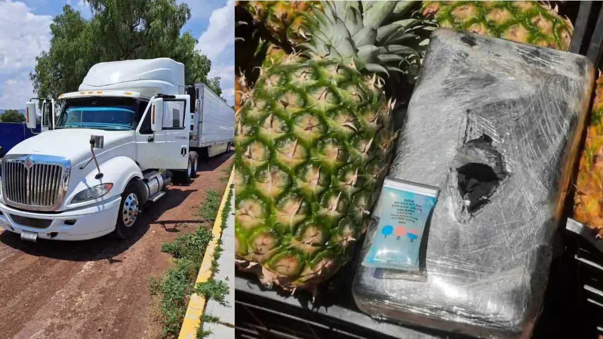 Piñas de cocaína: esconden droga en fruta y detienen al chofer de camión en Puebla