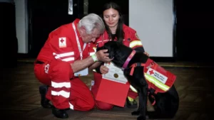 Se jubila 'July', perrita rescatista de la Cruz Roja en Puebla; ayudó en sismo de Turquía