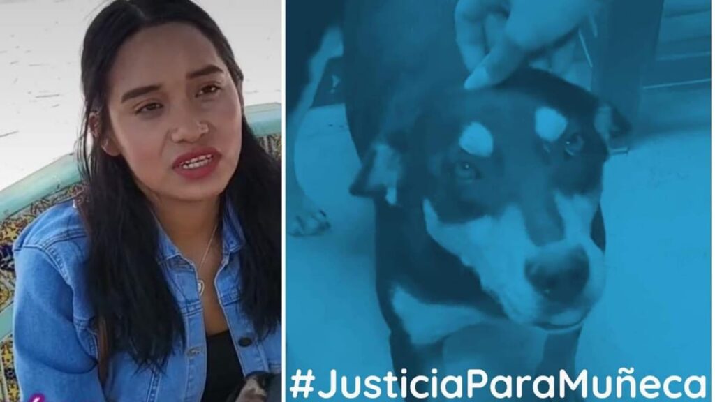 Dueña de 'Muñeca' teme represalias por denunciar violación de su perrita en Atlixco