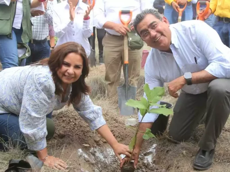 El gobernador Sergio Salomón Céspedes y Beatriz Manrique de Medio Ambiente sembrando un árbol.