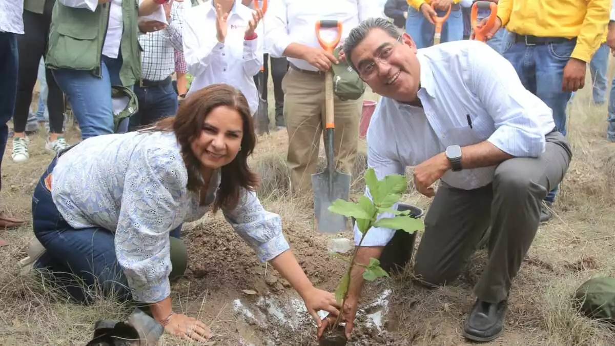 El gobernador Sergio Salomón Céspedes y Beatriz Manrique de Medio Ambiente sembrando un árbol.