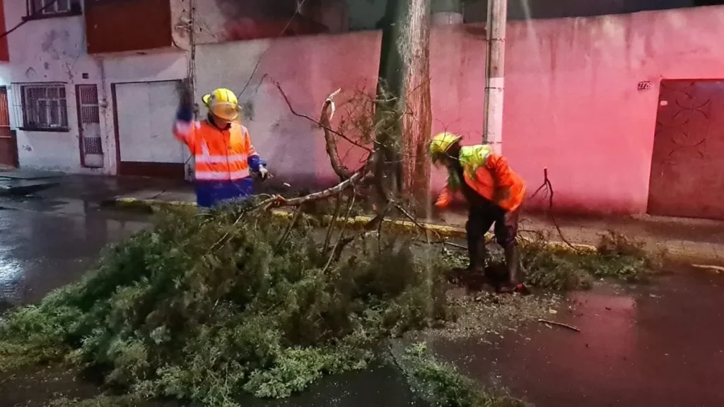 Fuerte granizada en Puebla deja caída de árboles por los fuertes vientos