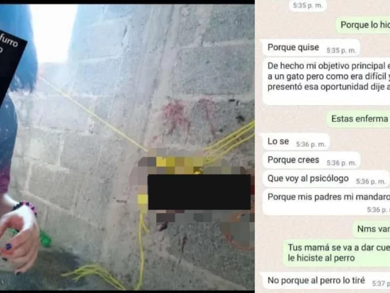 Adolescente adopta perro, lo mata y lo presume en sus redes en Huauchinango