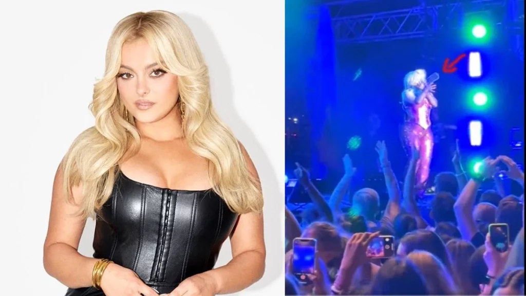 Golpean la cara de Bebe Rexha con celular durante concierto