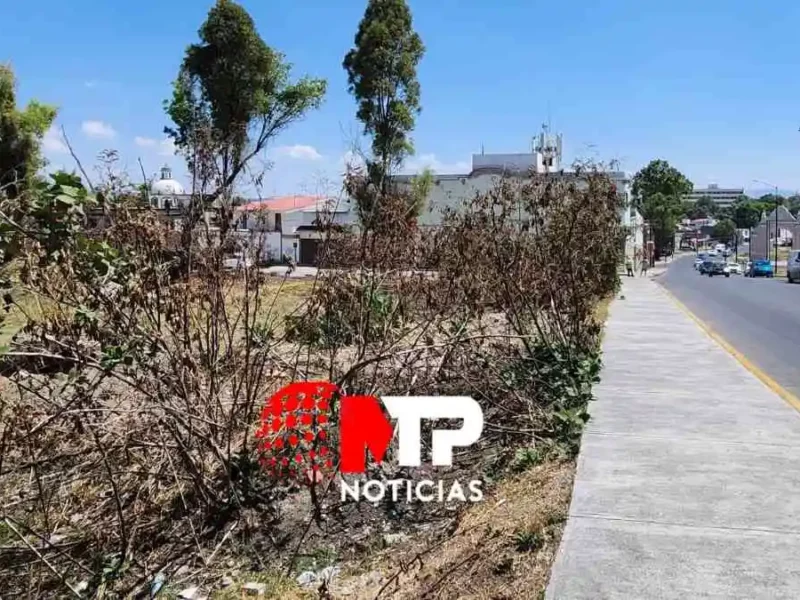 Ayuntamiento de Puebla autoriza permisos de construcción para nuevo Congreso