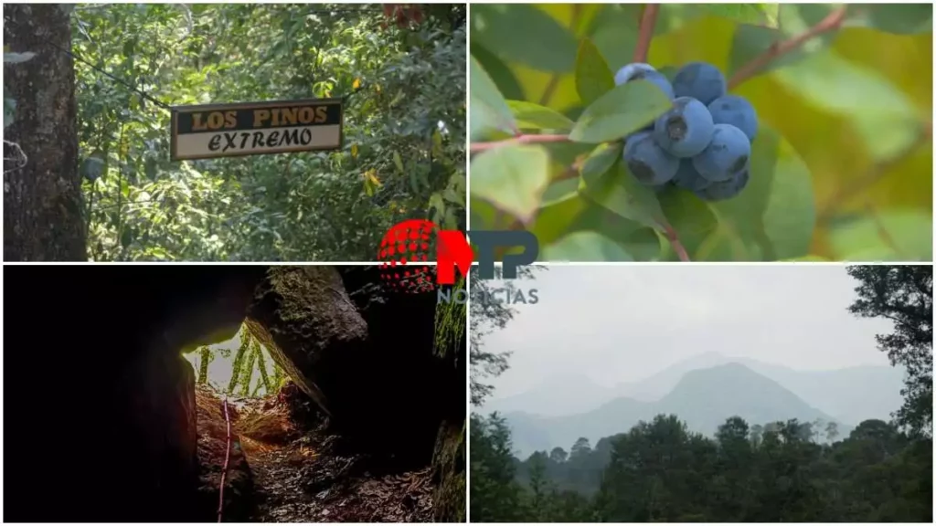 ¿Amante del turismo extremo? Visita la cueva del Degueyo en un rancho de Zacatlán