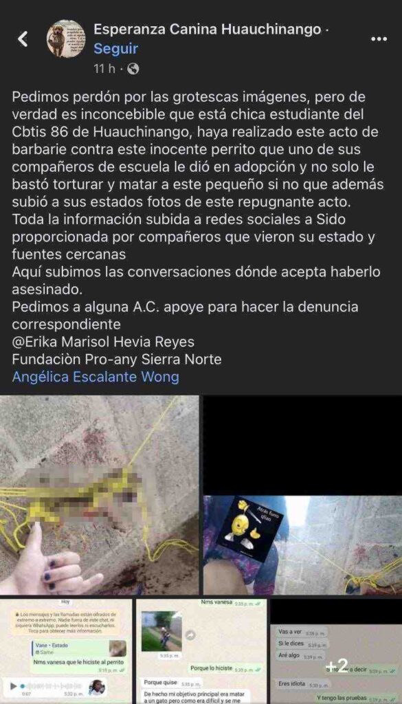Grupo de Facebook Esperanza Canina donde exhiben a adolescente que mató a perro.
