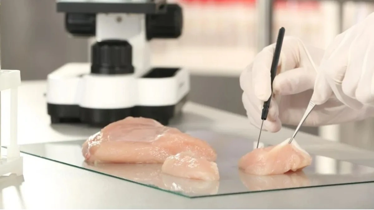 Aprueba Estados Unidos venta de carne de pollo de laboratorio
