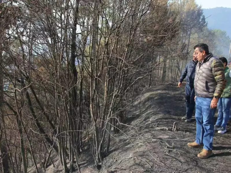 Sergio Salomón supervisa extinción de incendio forestal en Zacatlán