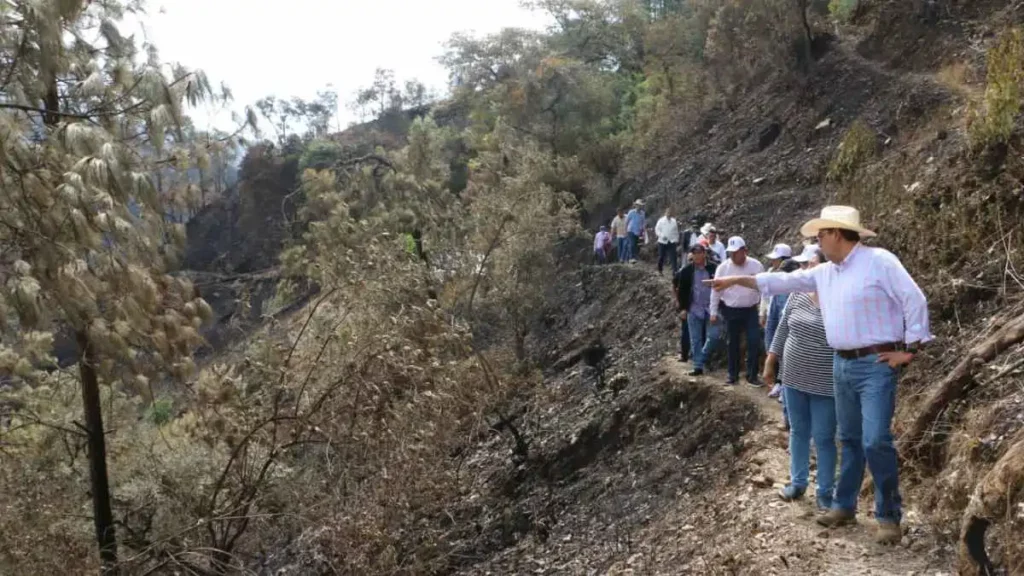 Un menor herido y 15 viviendas dañadas: incendio en Zacatlán