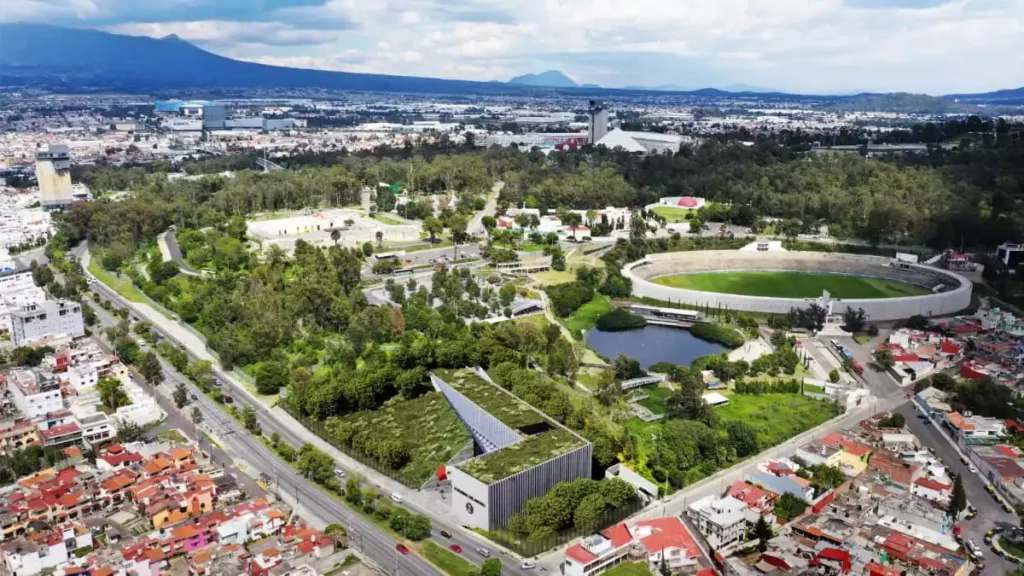 28 árboles serán reubicados por construcción de nuevo Congreso de Puebla