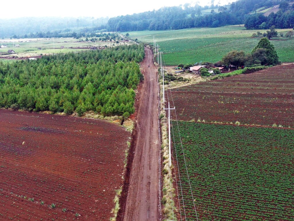 instalaron 36 postes para llevar la energía desde la comunidad de Gómez Sur hasta la colonia El Fortín