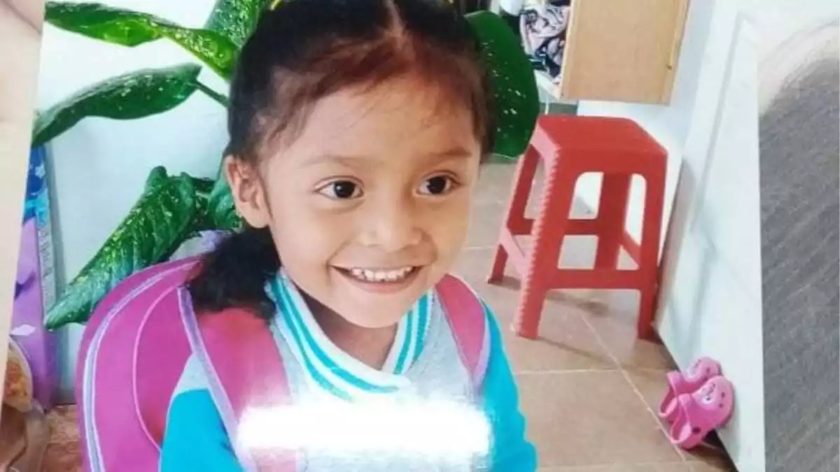 Alondra Sofía de cuatro años desapareció en Loma Linda, Puebla