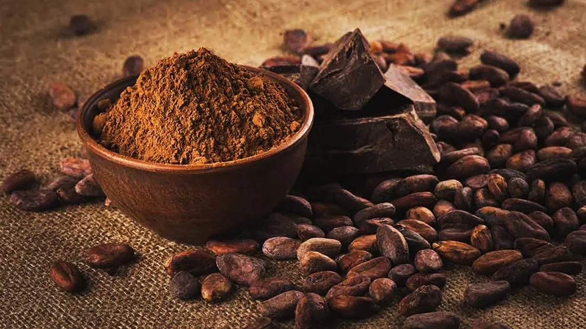 Día Mundial Del Cacao ¿por Qué Se Celebra Cada 7 De Julio 0853