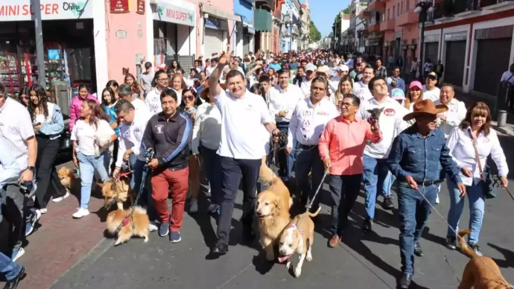 Castigar casos de zoofilia en Puebla aunque abusadores sean menores: Alejandro Armenta