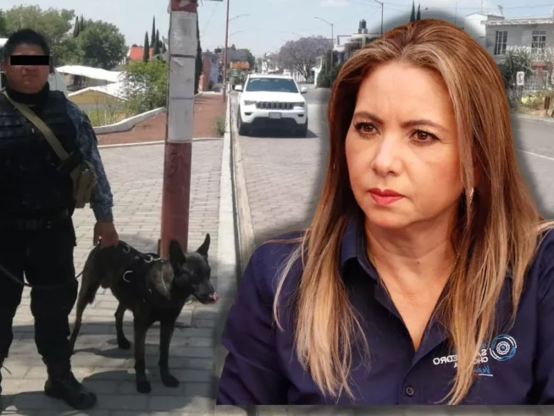 Hasta los perros policías son rentados en el gobierno de Paola Angon