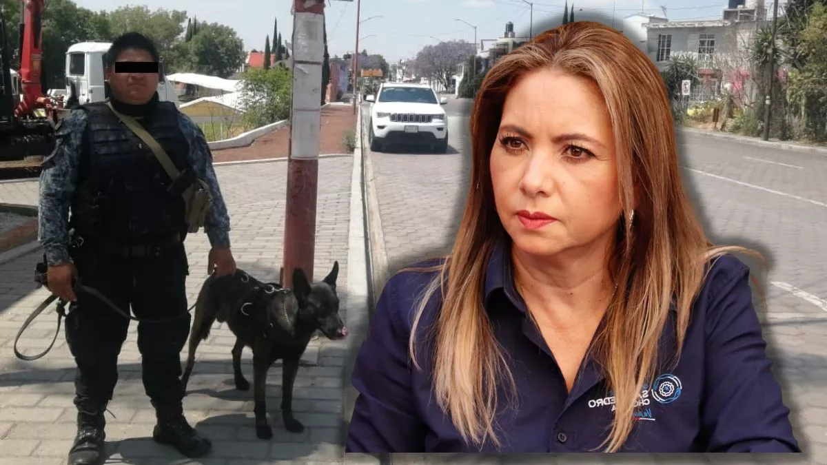 Hasta los perros policías son rentados en el gobierno de Paola Angon