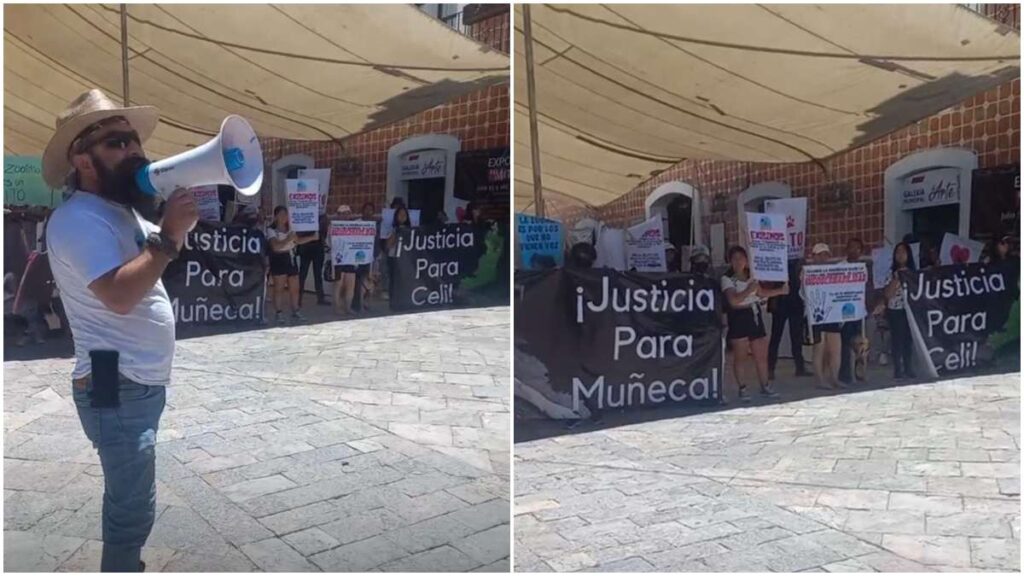 Zoofilia en Atlixco: revientan asamblea de Morena para exigir justicia para dos perras abusadas sexualmente