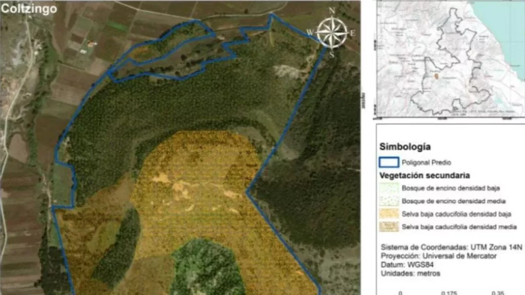 City Lomas de Angelópolis: el desarrollo inmobiliario que devastará 273 hectáreas de bosque en Ocoyucan