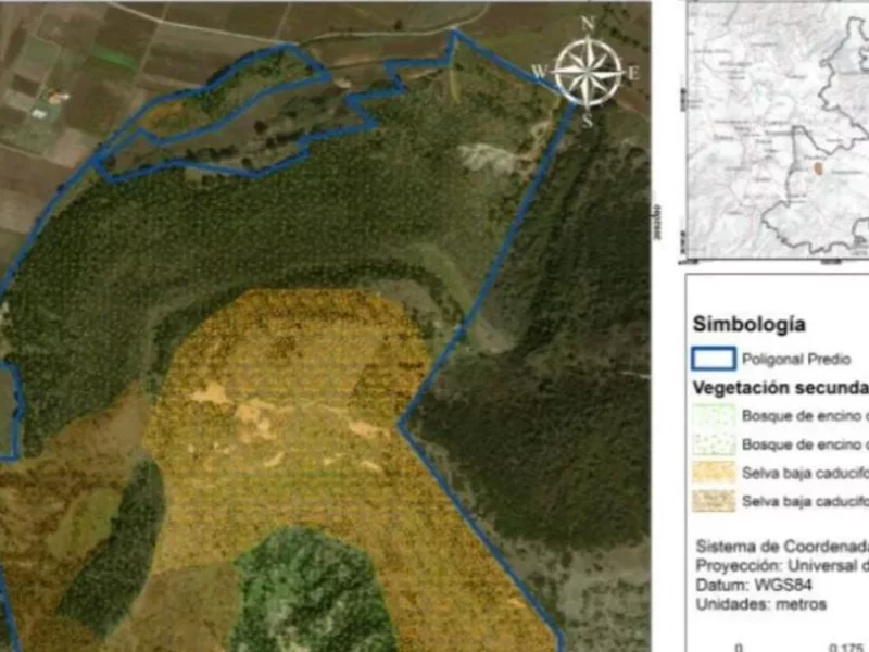 City Lomas de Angelópolis: acabará con 273 hectáreas de bosque