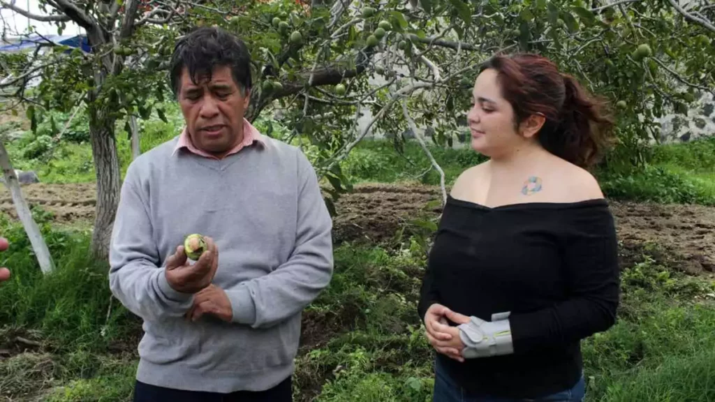 Serafín Bautista explica que la familia siembra todas la fruta que lleva el Chile en Nogada