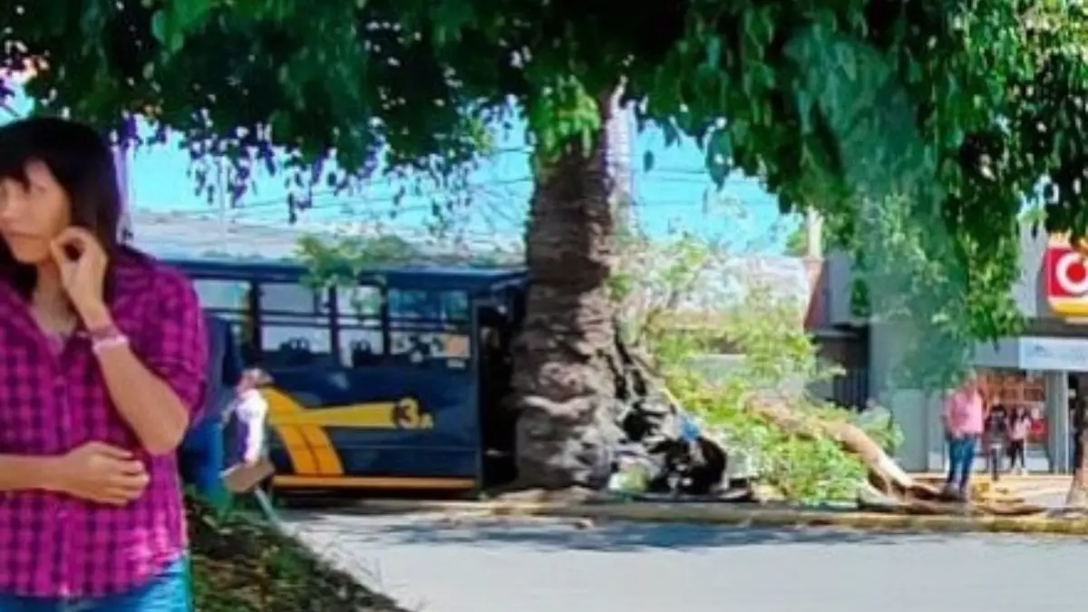 ¡Otro más! Chofer de la Ruta 3A choca contra árbol y de 5 lesionados